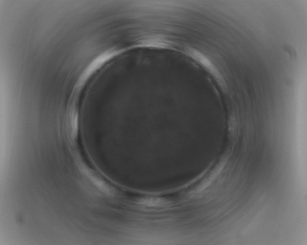 X0000114521323200910191146