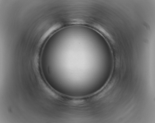 X0000114521325200910191146