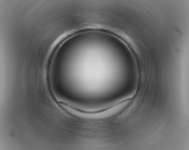 X0000114521326200910191146