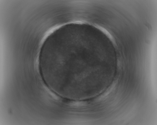 X0000114521327200910191146