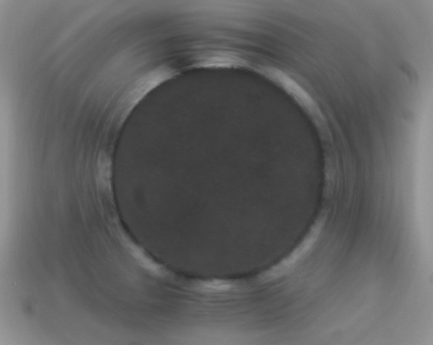 X0000114521329200910191146