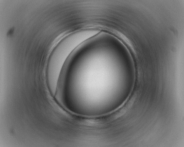 X0000114521330200910191146