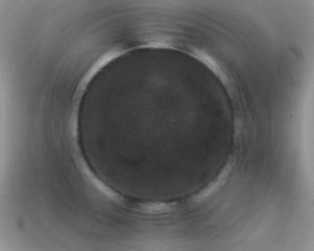 X0000114521331200910191146