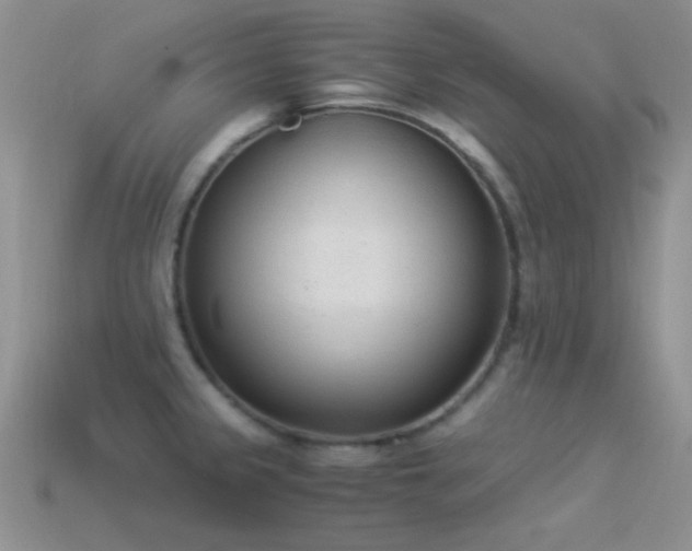 X0000114521333200910191146