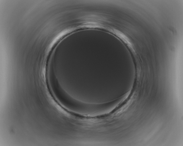 X0000114521334200910191146