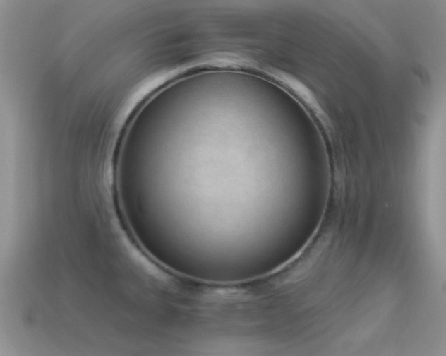 X0000114521335200910191146
