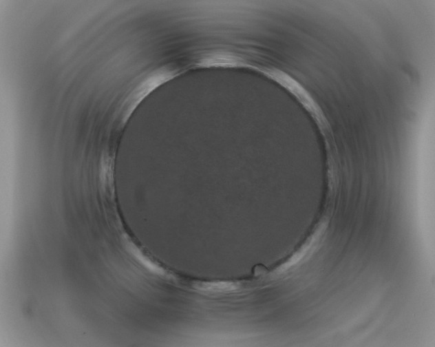 X0000114521337200910191146