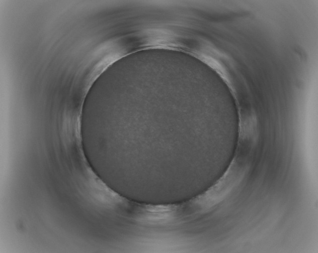 X0000114521338200910191146