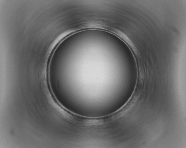 X0000114521339200910191146