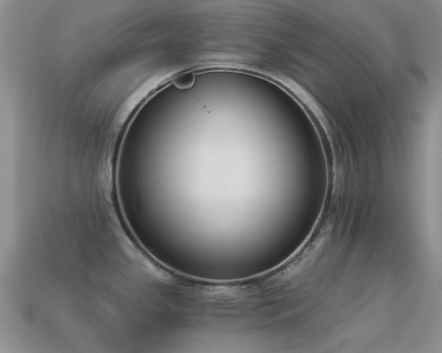 X0000114521341200910191146