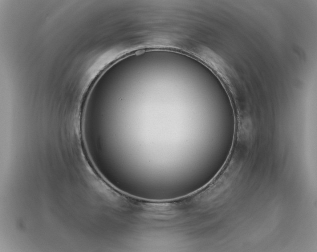 X0000114521342200910191146