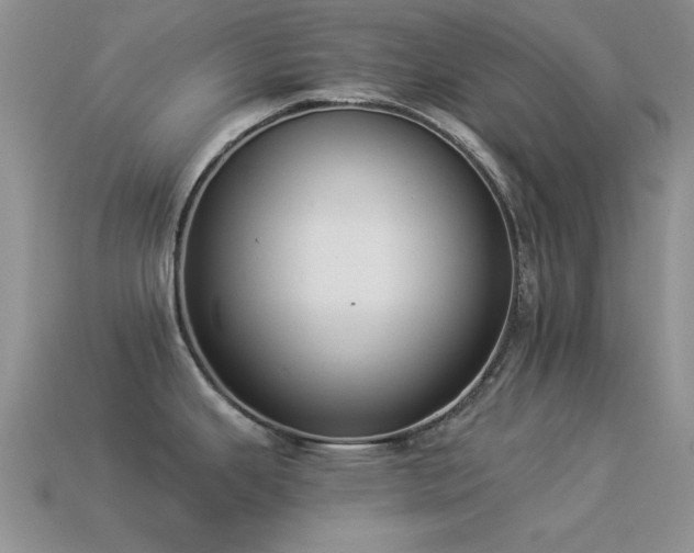 X0000114521343200910191146