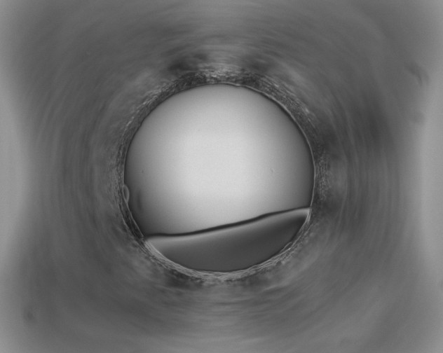 X0000114521345200910191146