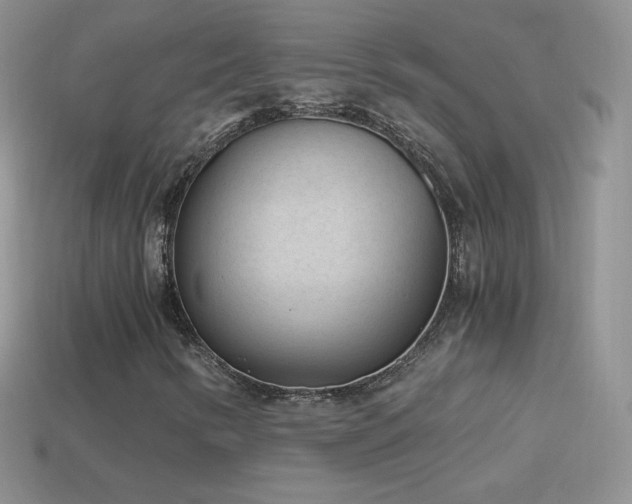 X0000114521346200910191146