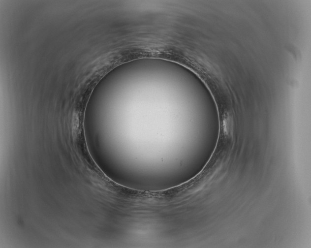 X0000114521347200910191146