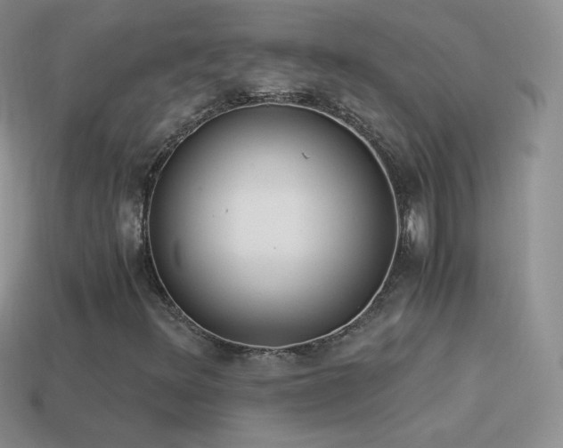 X0000114521348200910191146