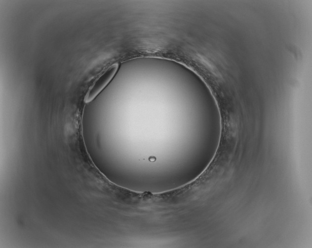 X0000114521349200910191146