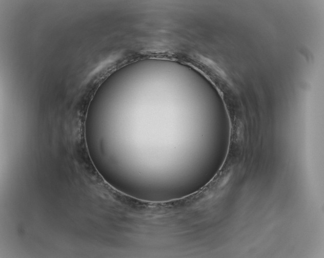X0000114521350200910191146