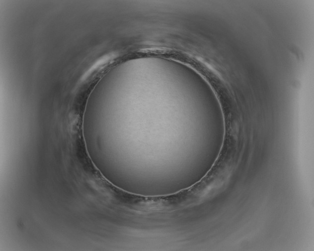X0000114521351200910191146