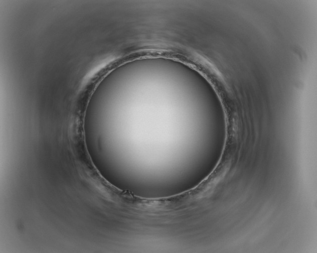 X0000114521352200910191146