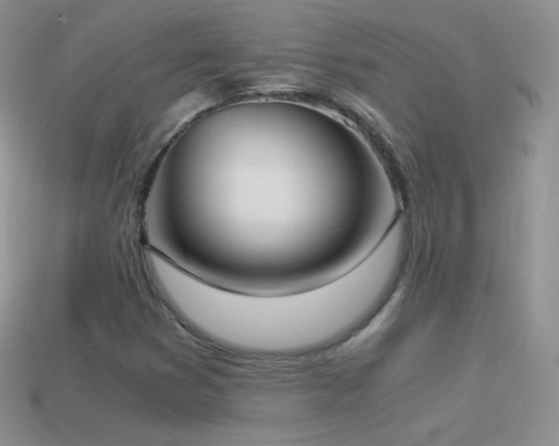 X0000114521353200910191146