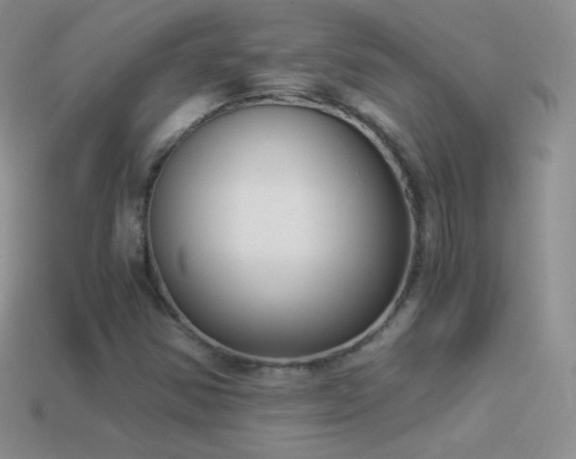 X0000114521354200910191146