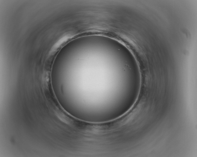 X0000114521355200910191146