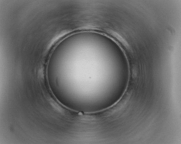 X0000114521356200910191146