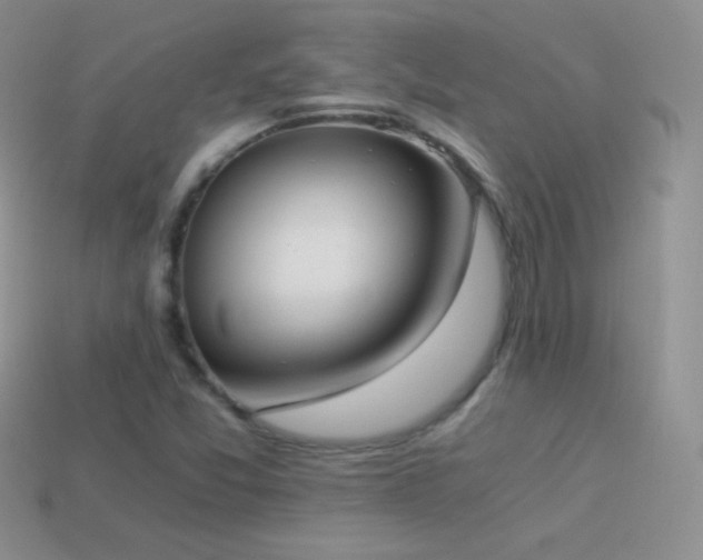 X0000114521357200910191146