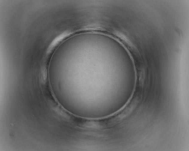 X0000114521358200910191146