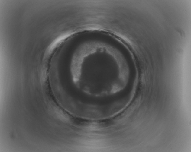 X0000114521359200910191146
