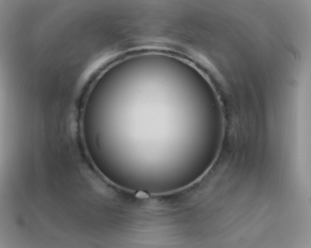 X0000114521360200910191146