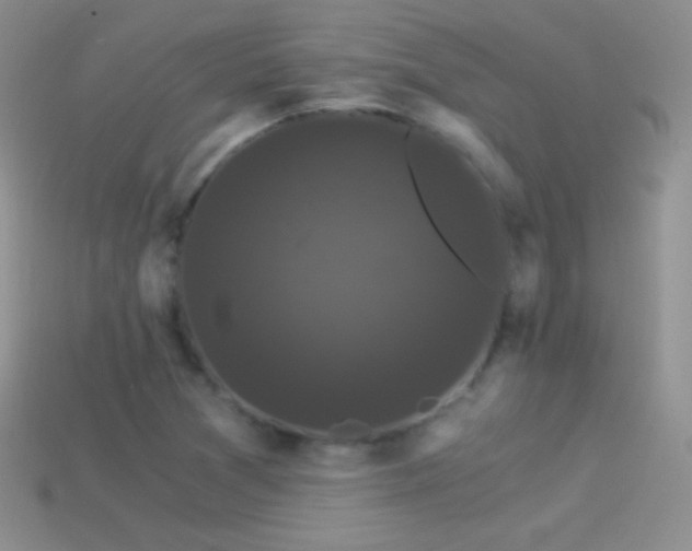 X0000114521361200910191145