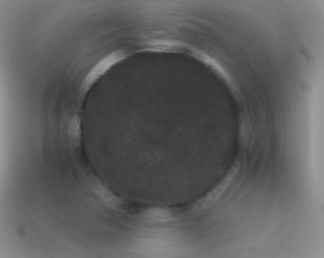 X0000114521362200910191145