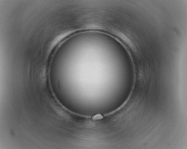X0000114521364200910191145
