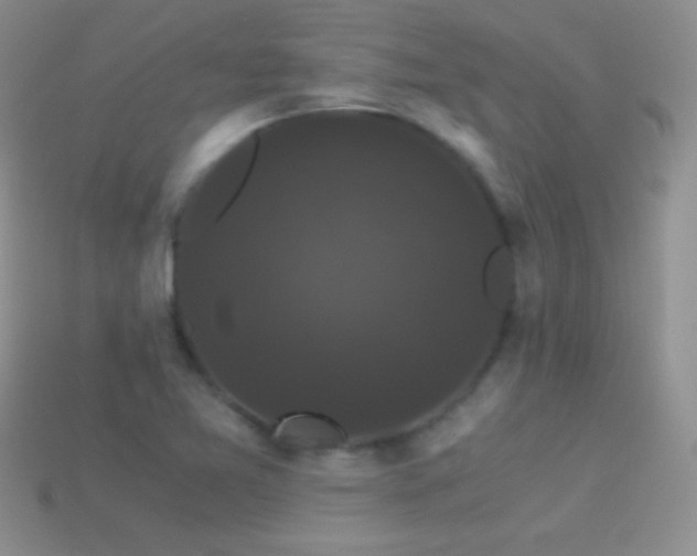 X0000114521365200910191145