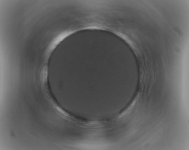 X0000114521367200910191145