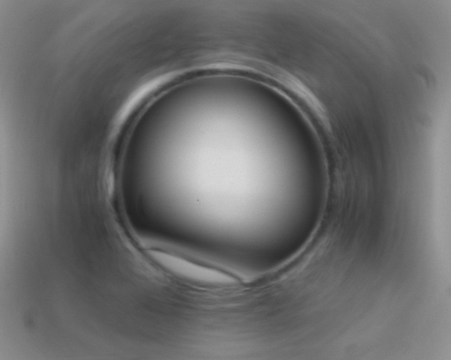 X0000114521368200910191145