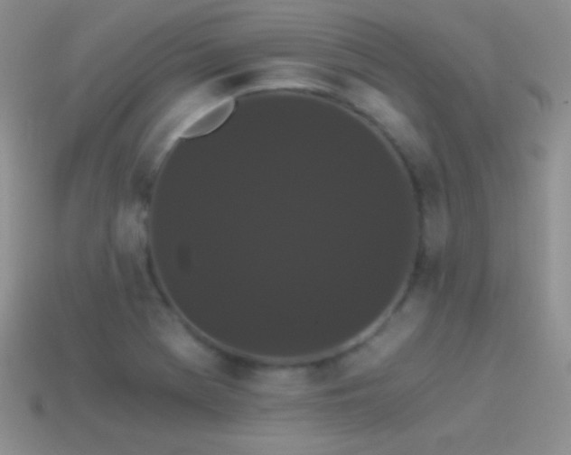 X0000114521369200910191145