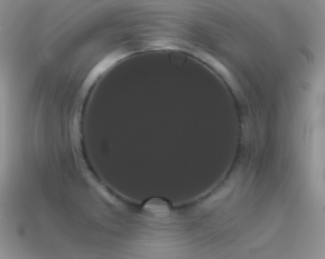X0000114521373200910191145