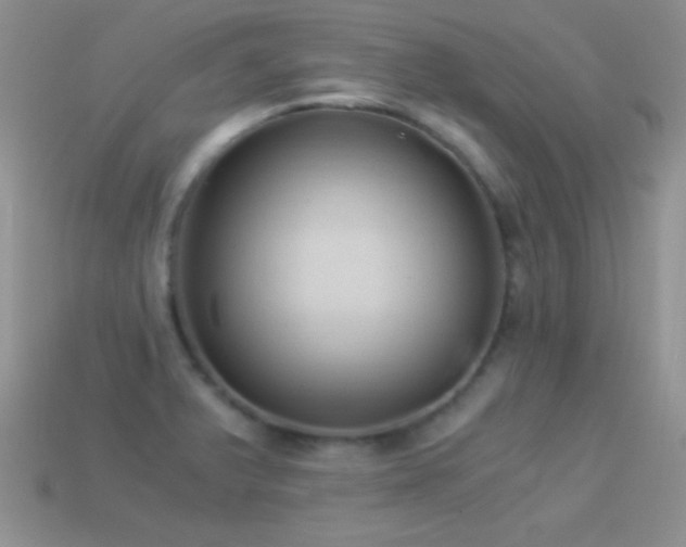 X0000114521375200910191145
