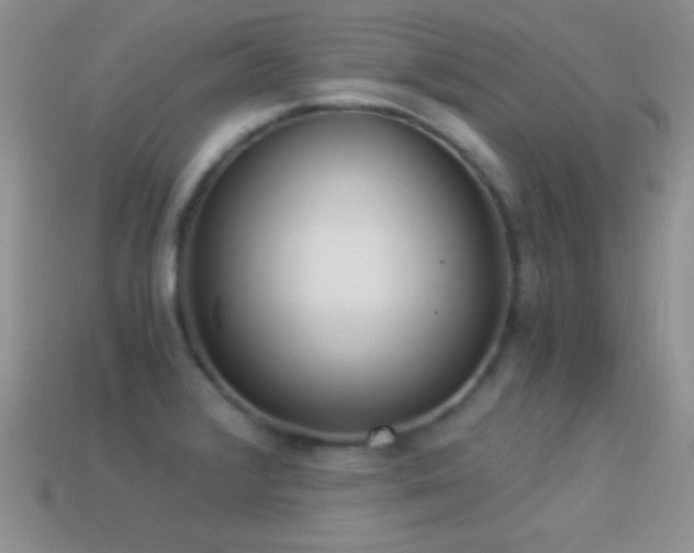 X0000114521376200910191145