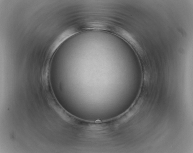 X0000114521378200910191145