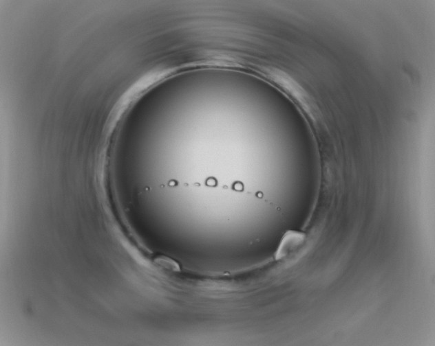X0000114521379200910191145