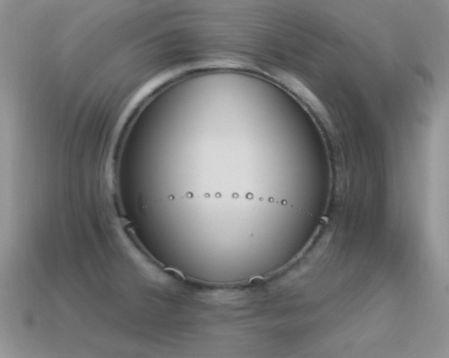 X0000114521380200910191145
