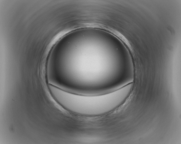 X0000114521381200910191145