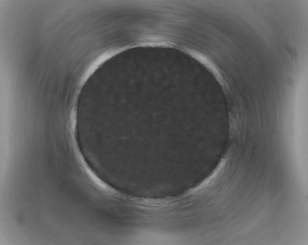 X0000114521383200910191145