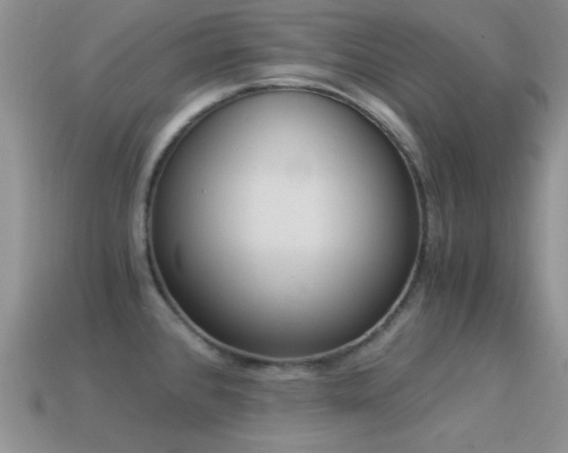 X0000114521384200910191145