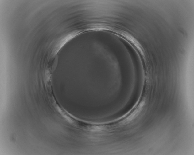 X0000114521385200910191145