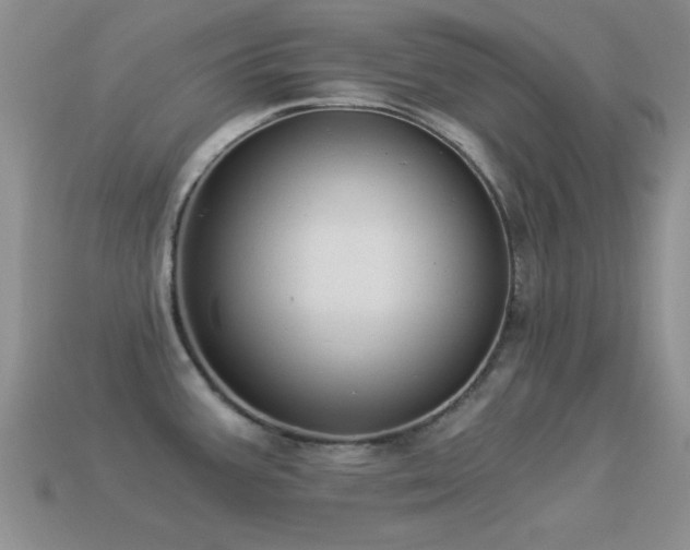 X0000114521387200910191145